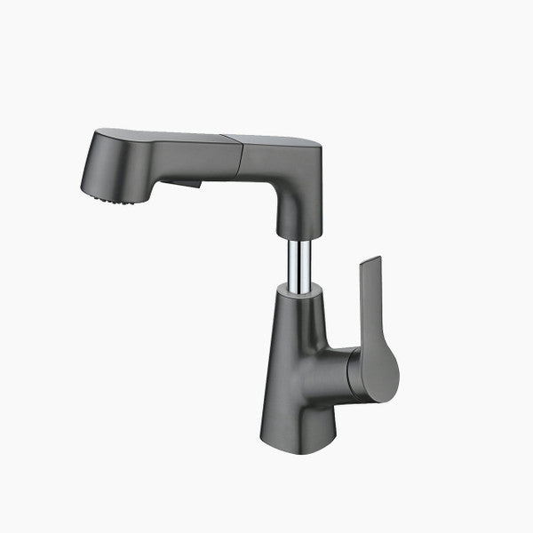 Stylish bathroom faucet with flexible spray hose