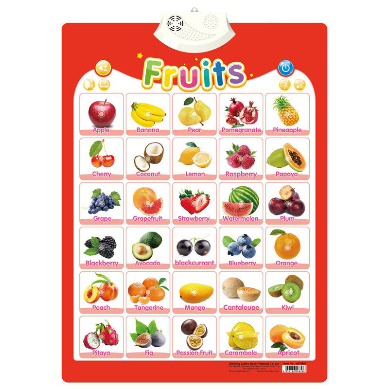 Englisch Lernspielzeug für Kinder – Interaktives Soundboard