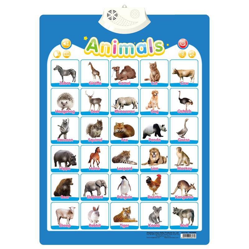 Englisch Lernspielzeug für Kinder – Interaktives Soundboard