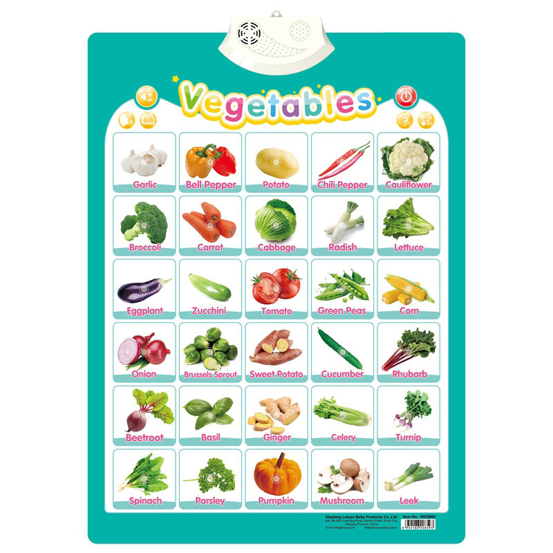 Englisch Lernspielzeug für Kinder – Interaktives Soundboard