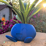 Blumentopf aus Keramik mit Gesicht – Pflanze Topf für kleine Pflanzen