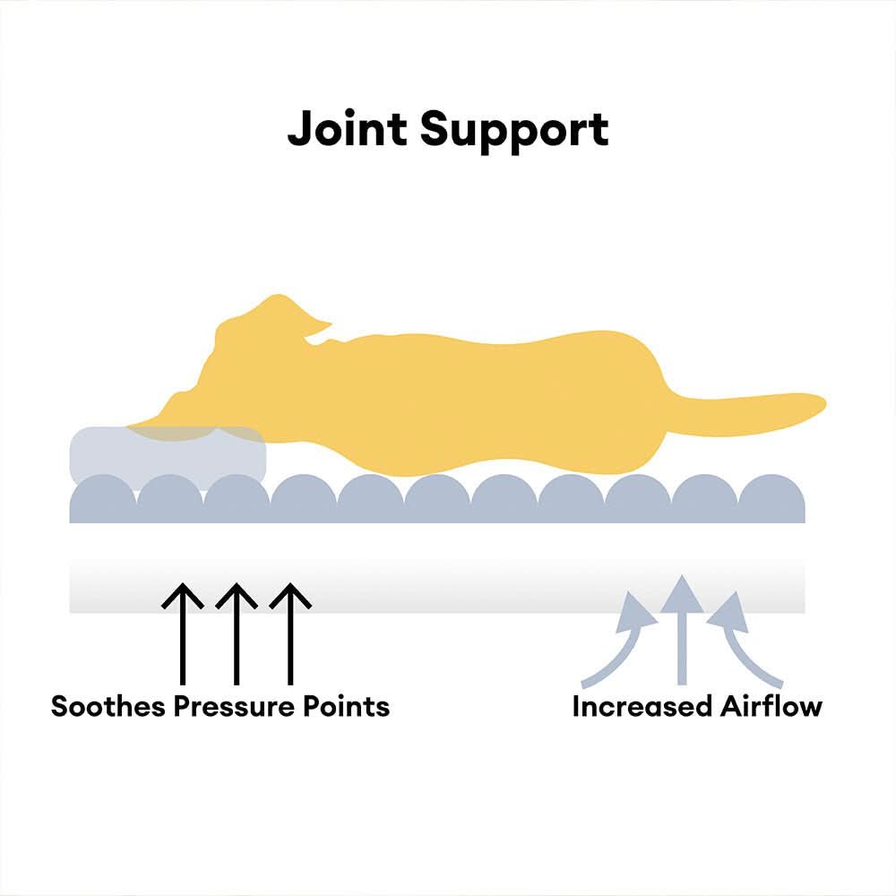 CuddleNest Orthopedic Dog Bed – Robust Support with Neck Bolster