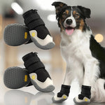 PawCooler | Cooling Paw Protection Solution