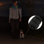 PawCooler | Cooling Paw Protection Solution