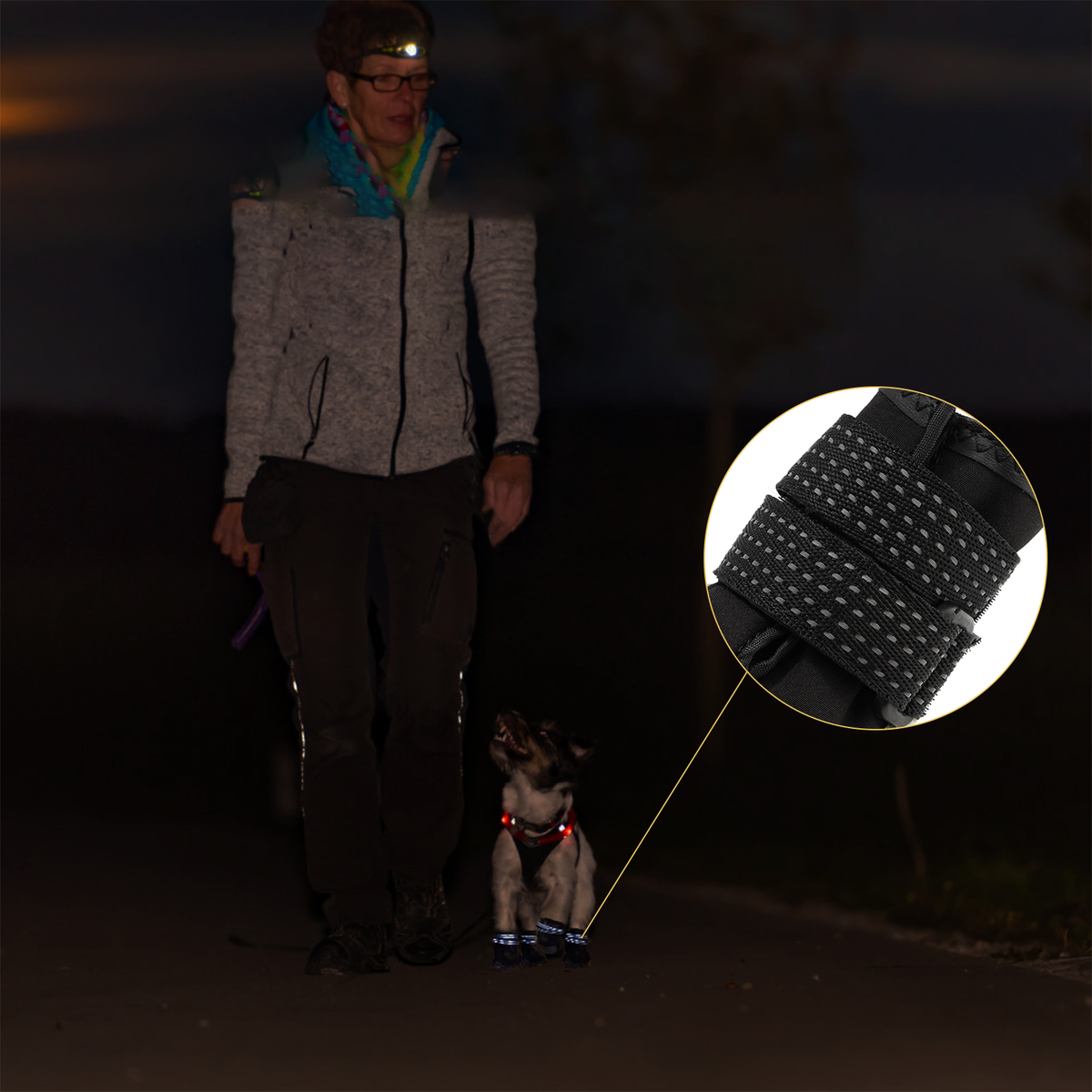 PawCooler | Cooling Paw Protection Solution