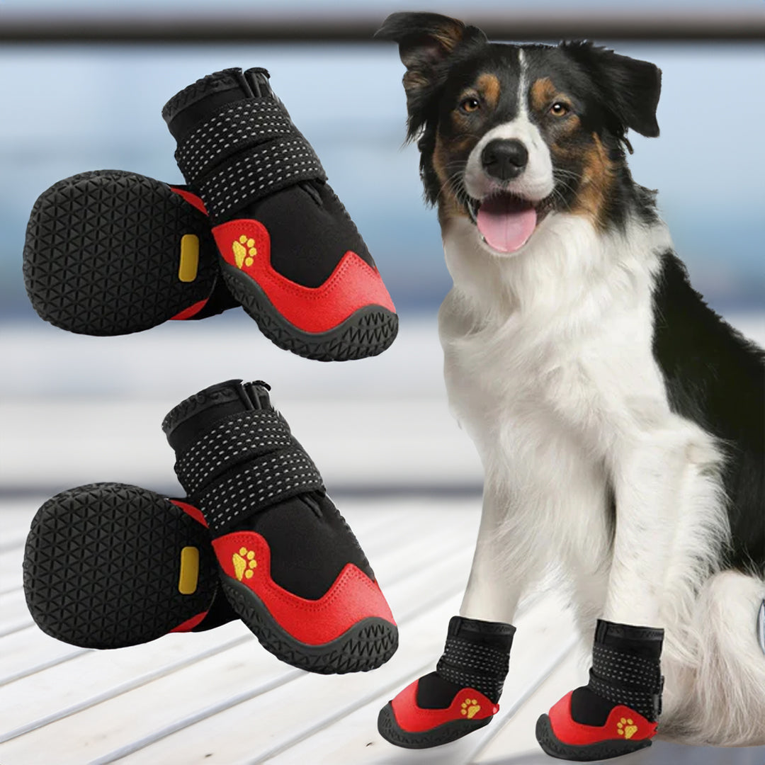 PawCooler | Cooling Paw Protection Solution
