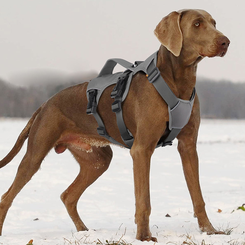 PawFlex | High-Quality Reflective No-Pull Harness
