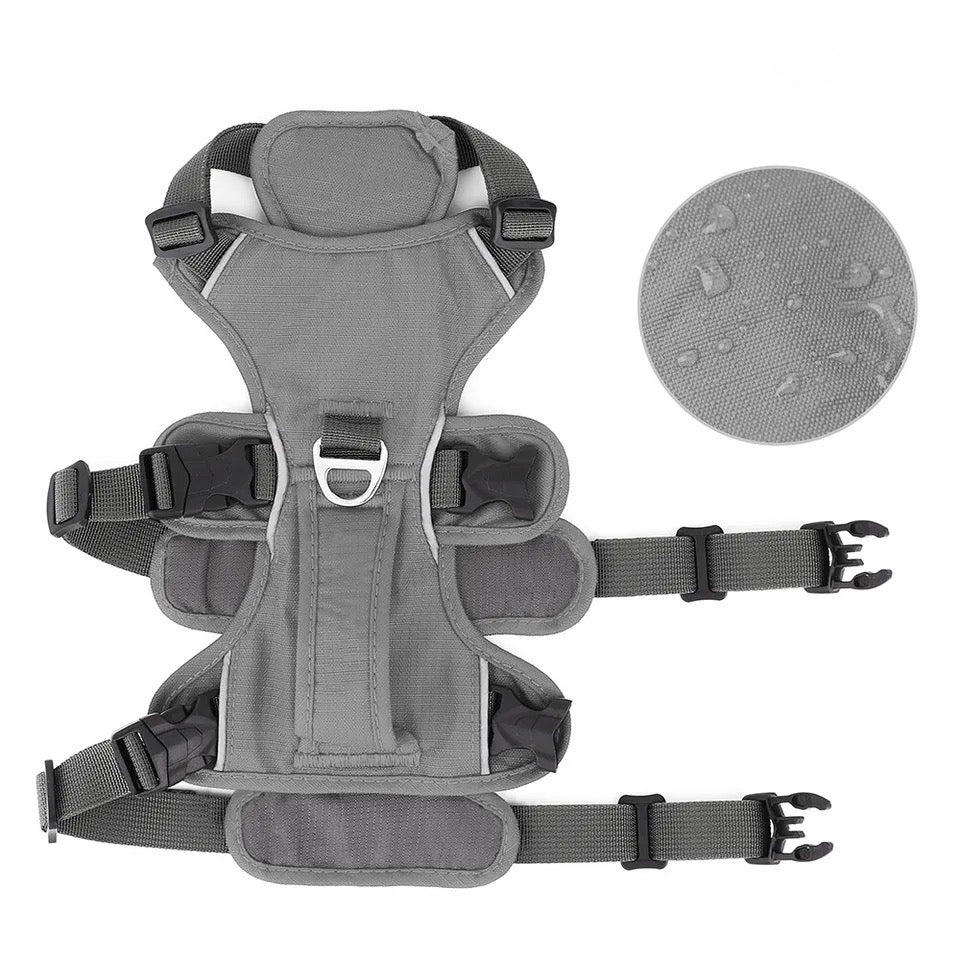 PawFlex | High-Quality Reflective No-Pull Harness