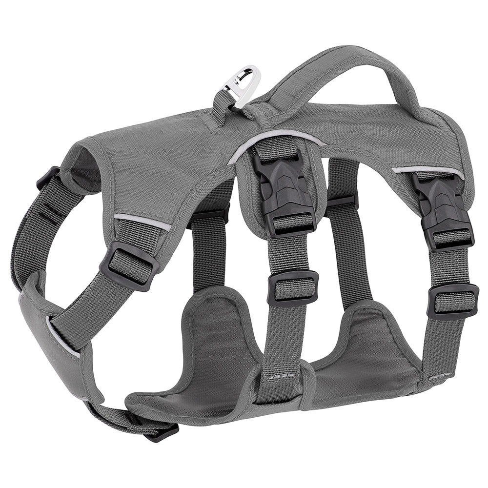 PawFlex | High-Quality Reflective No-Pull Harness