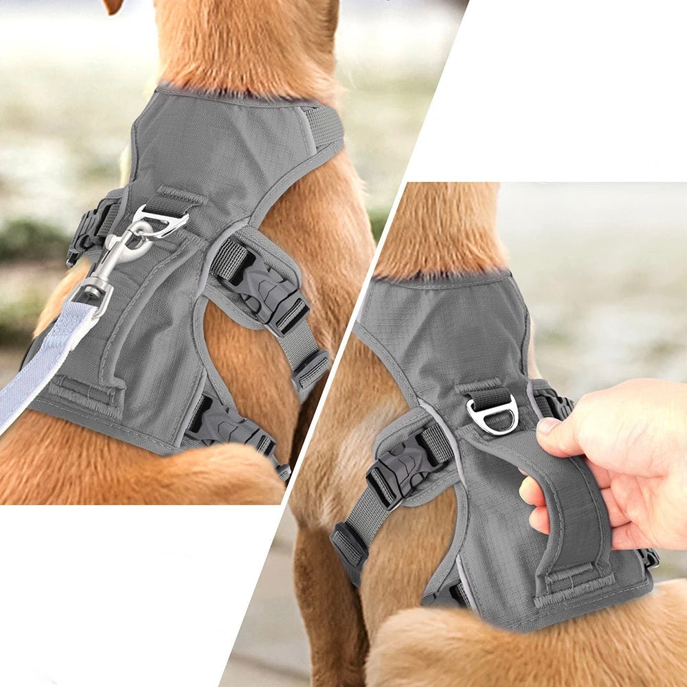 PawFlex | High-Quality Reflective No-Pull Harness