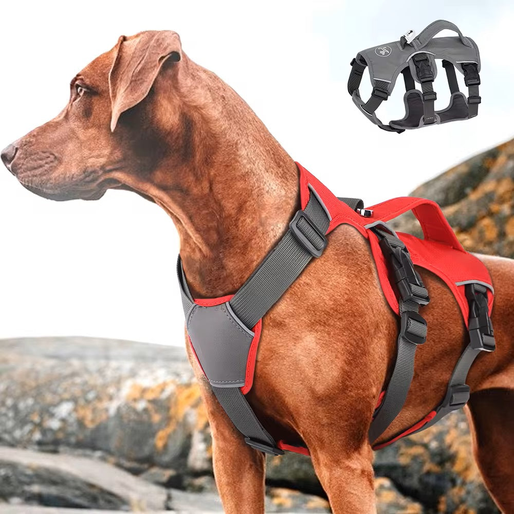 PawFlex | High-Quality Reflective No-Pull Harness