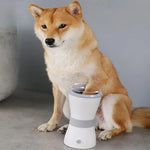 Pawsicle | Quick and Easy Paw Cleaning