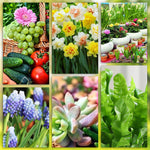 Pflanzenpflege | Gleichmäßige Nährstoffversorgung | Einfach Einsetzen | FloraBoost
