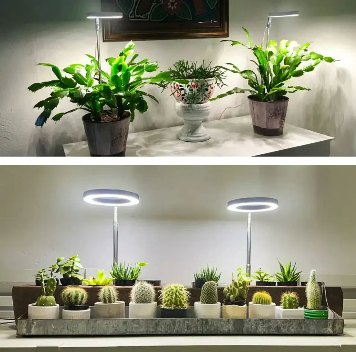 Wachstumslampe für Pflanzen | Vollspektrum LED mit Timer