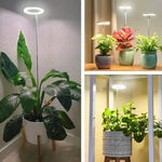 Wachstumslampe für Pflanzen | Vollspektrum LED mit Timer