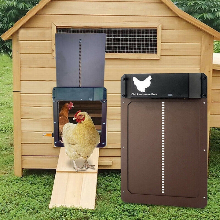 PoultryPro | Automated Security for Your Chickens