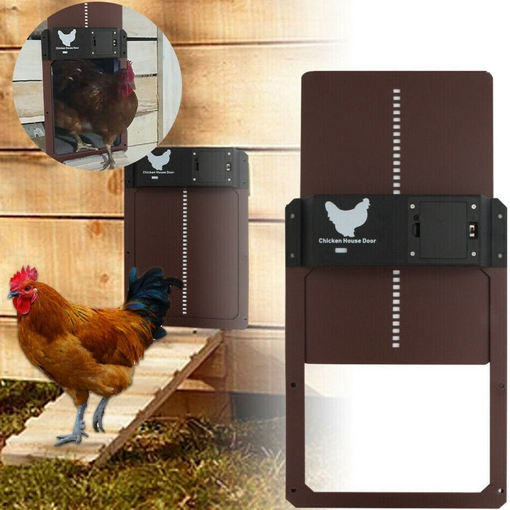 PoultryPro | Automated Security for Your Chickens