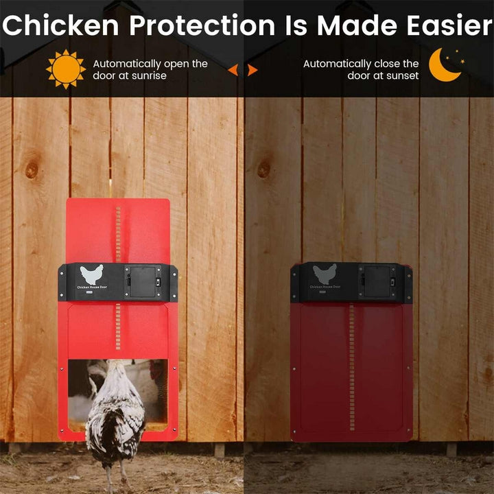 PoultryPro | Automated Security for Your Chickens