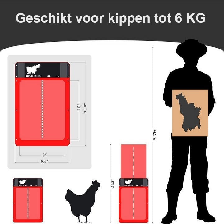 PoultryPro | Automated Security for Your Chickens