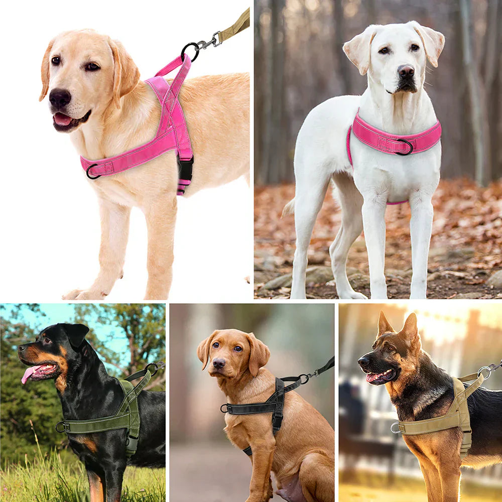 PowerLead | Reflective No Pull Harness for Dogs