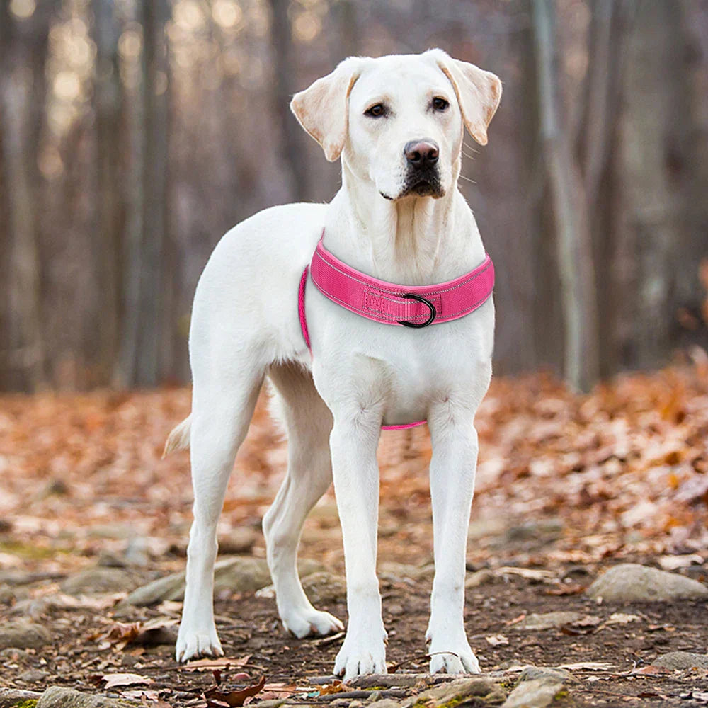 PowerLead | Reflective No Pull Harness for Dogs