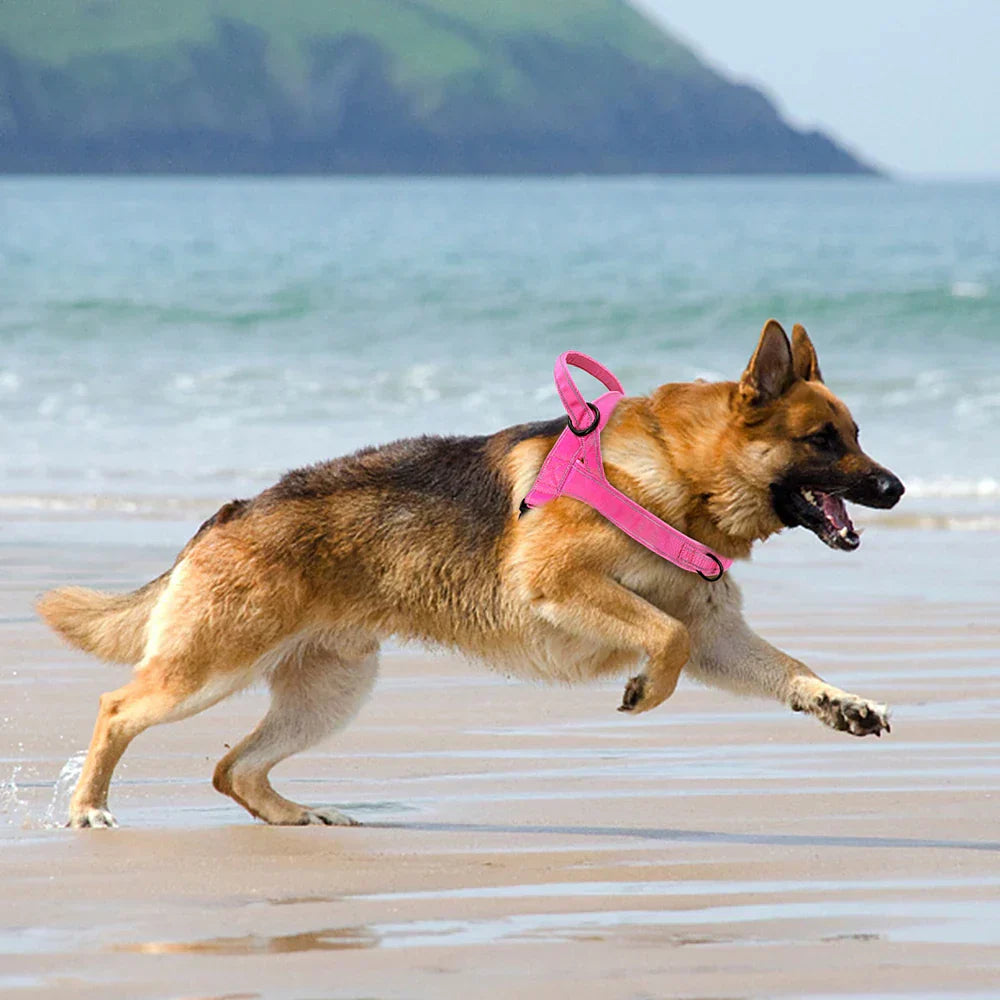PowerLead | Reflective No Pull Harness for Dogs