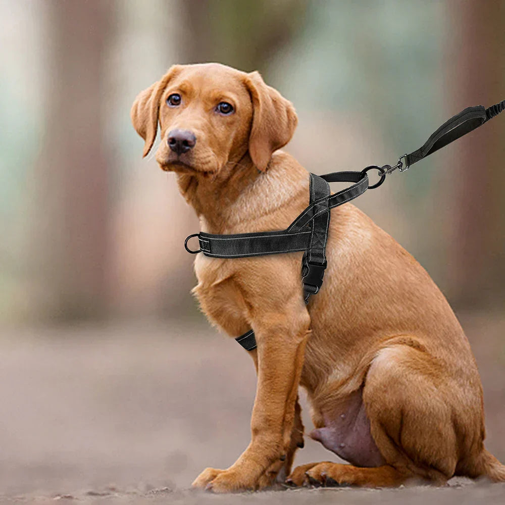 PowerLead | Reflective No Pull Harness for Dogs