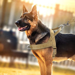 PowerLead | Reflective No Pull Harness for Dogs