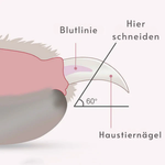 LED-Lampe und Sicherheitsverschluss Krallen-Schneider