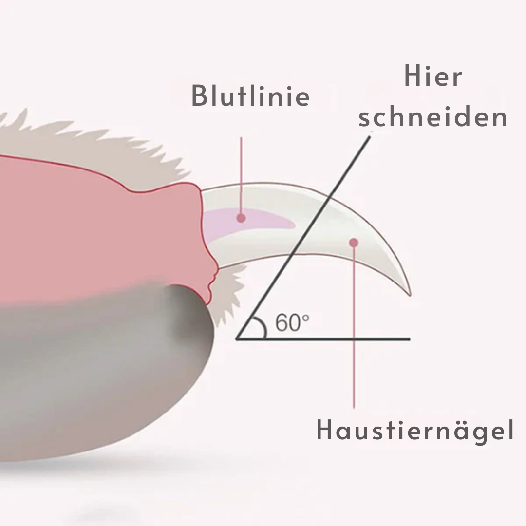 LED-Lampe und Sicherheitsverschluss Krallen-Schneider