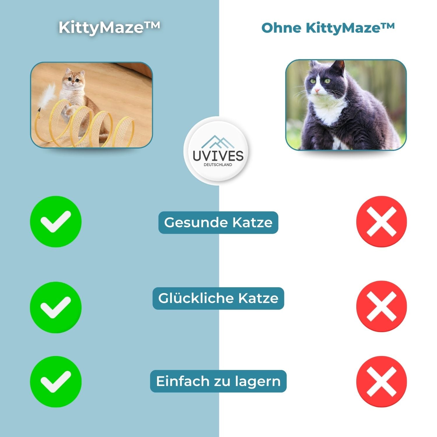 Abenteuerlicher Katzentunnel mit Spielzeug für aktive Katzen