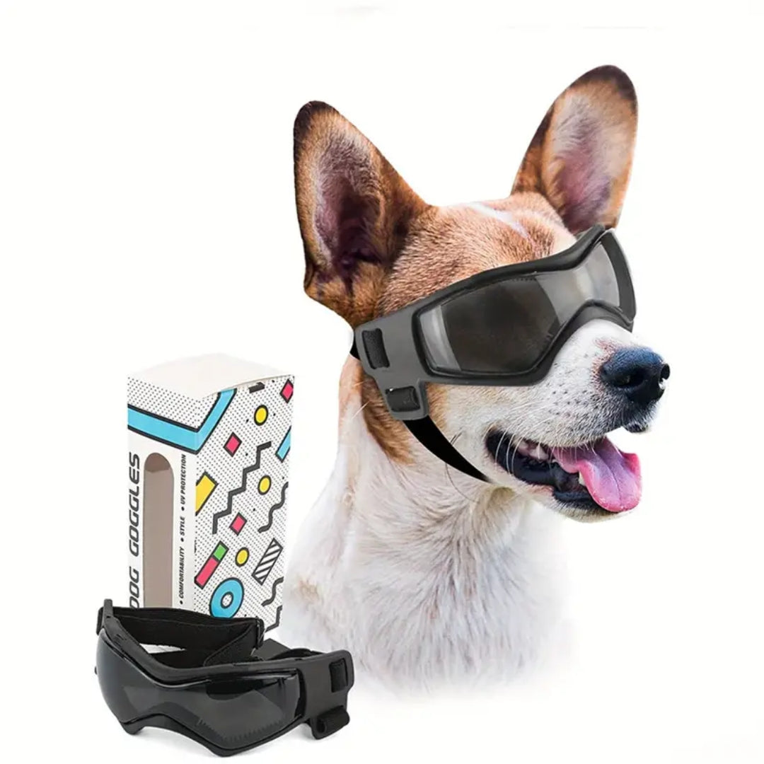 PupVisor | Stylish UV Sunglasses for Dogs