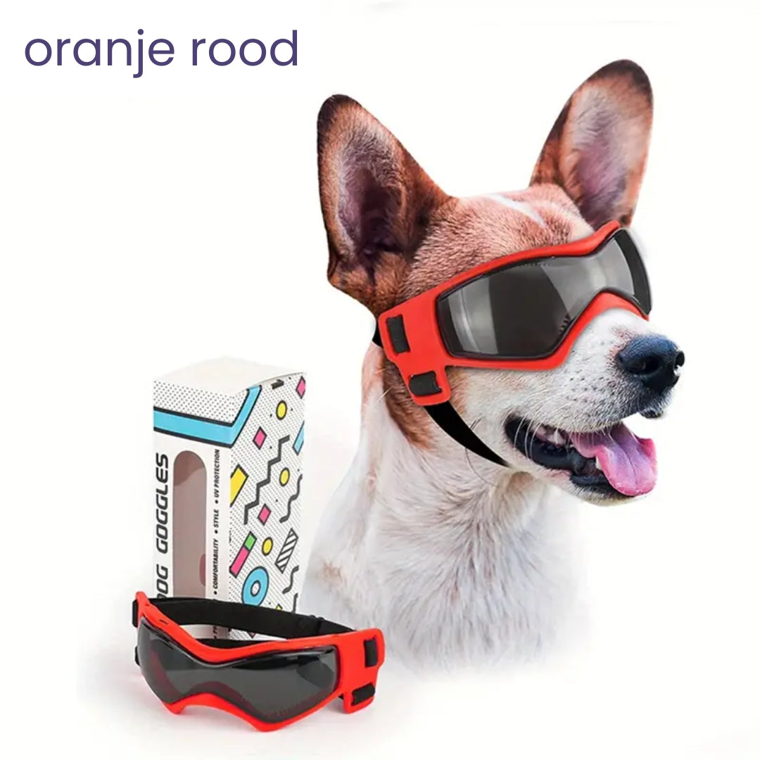 PupVisor | Stylish UV Sunglasses for Dogs