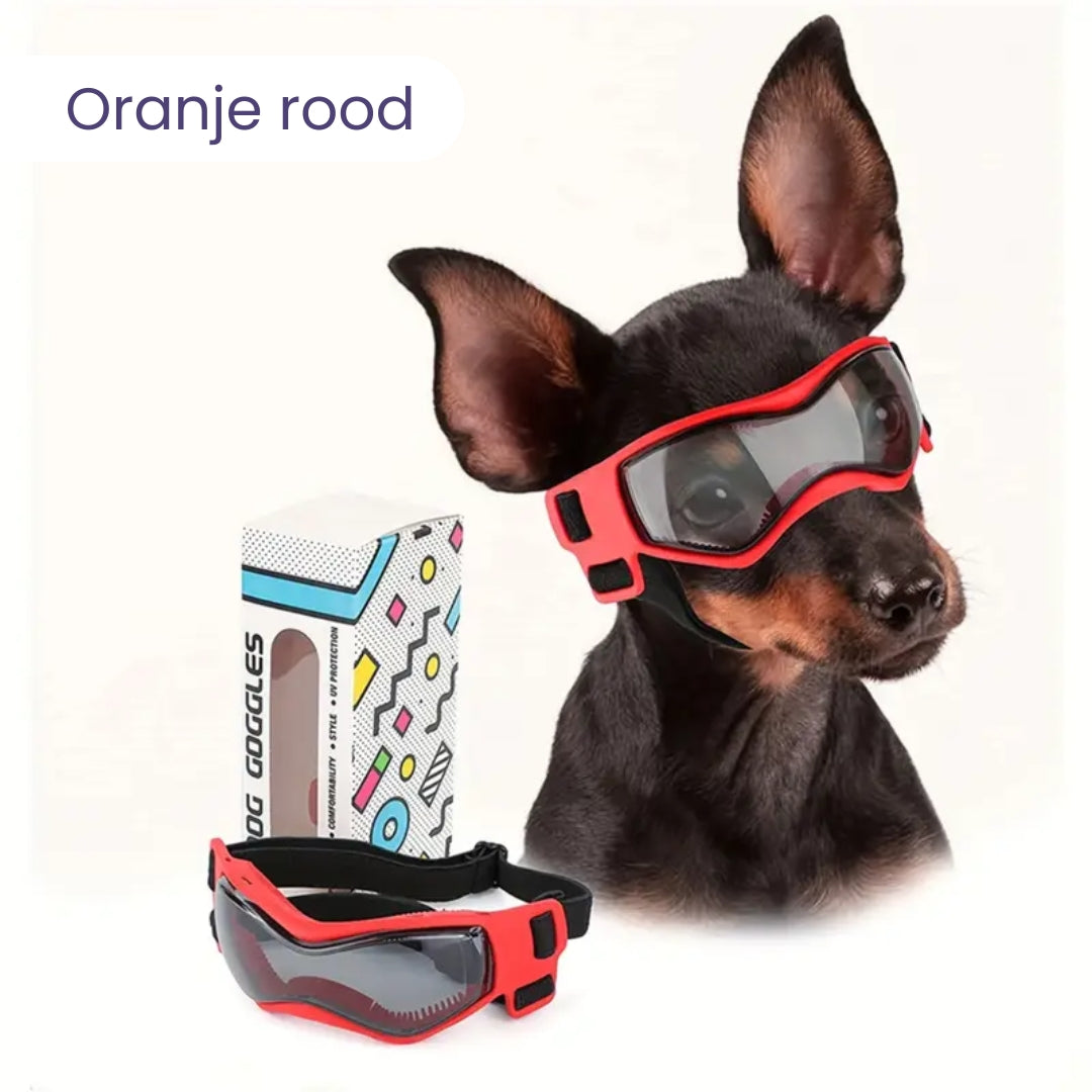 PupVisor | Stylish UV Sunglasses for Dogs