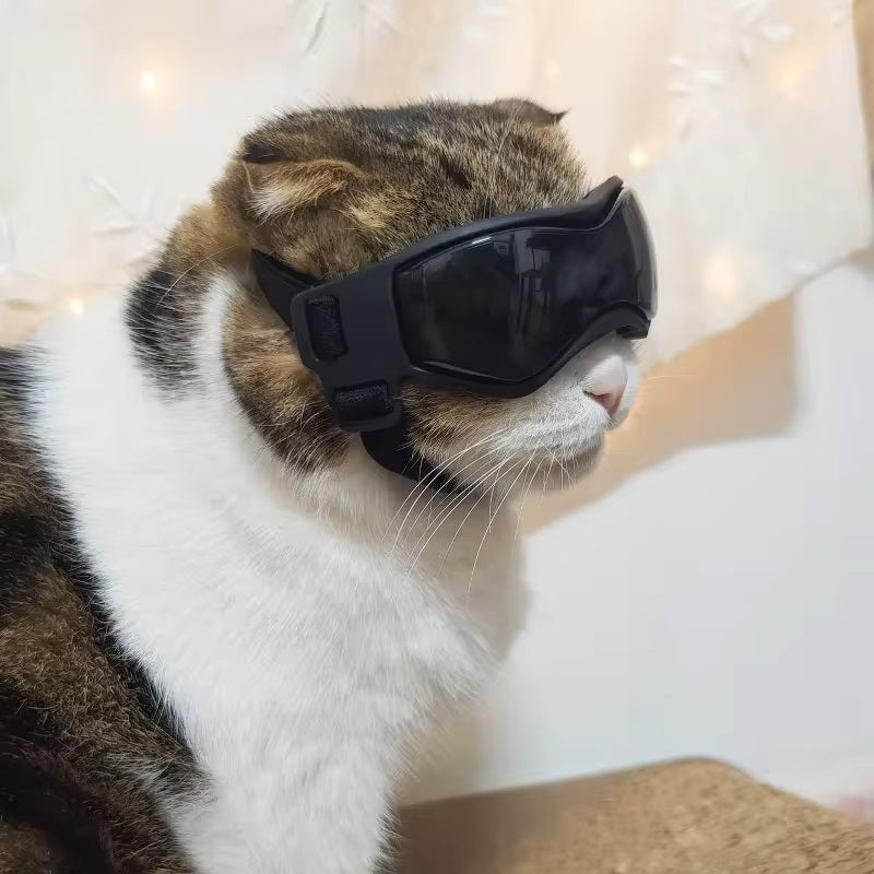 PupVisor | Stylish UV Sunglasses for Dogs