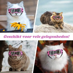 PupVisor | Stylish UV Sunglasses for Dogs