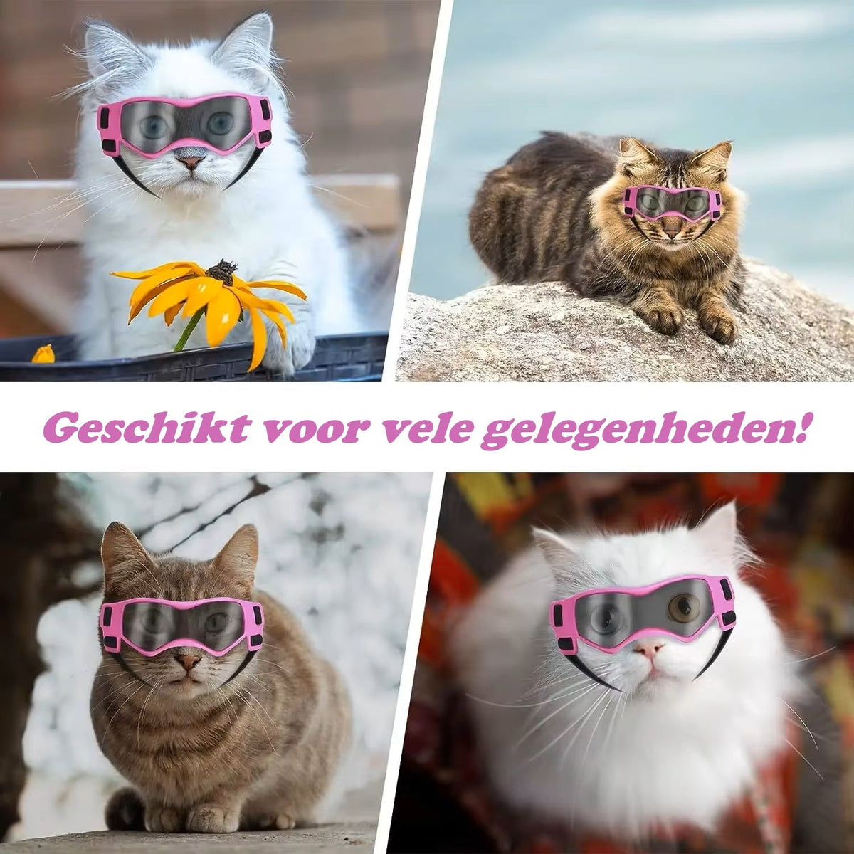 PupVisor | Stylish UV Sunglasses for Dogs