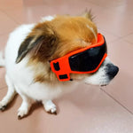 PupVisor | Stylish UV Sunglasses for Dogs
