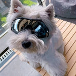 PupVisor | Stylish UV Sunglasses for Dogs