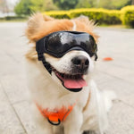 PupVisor | Stylish UV Sunglasses for Dogs