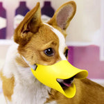 QuackSafe | Muzzle with Adjustable Straps