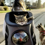 PurrVenture Rucksack – Tragetasche für Katzen und kleine Haustiere