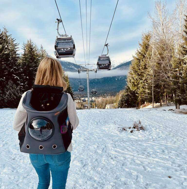 PurrVenture Rucksack – Tragetasche für Katzen und kleine Haustiere
