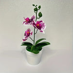 Elegante Künstliche Orchideen-Bonsai für Ihr Zuhause