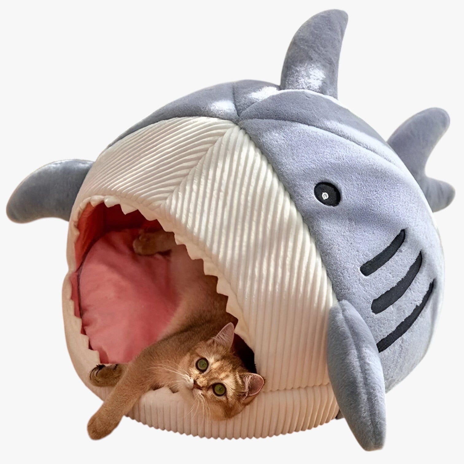 Weicher Shark Katzenbett – Gemütlicher Rückzugsort für drinnen