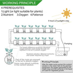HydroGrow 36 | Innovative Indoor Plant System | With Pump & Timer Control | For Herbs & Vegetables | 36 Planting Pods in White