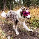 Verstellbare winddichte Hundesonnenbrille mit UV-Schutz