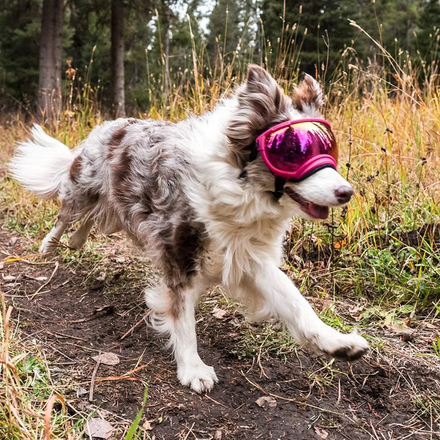 Verstellbare winddichte Hundesonnenbrille mit UV-Schutz