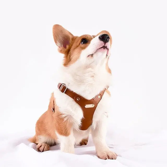 Verstellbares Hundegeschirr aus Leder mit individueller Gravur