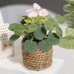 Eucalyptus Dream – Mini Artificial Plant in Braided Basket | 11 cm